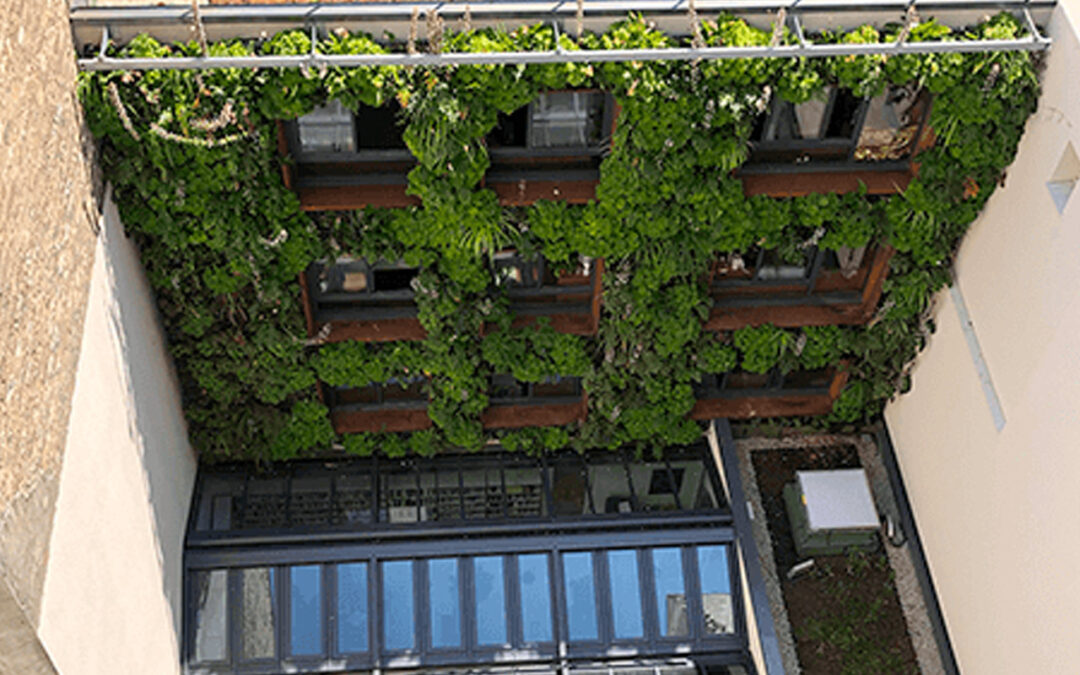 IMMEUBLE – PARIS 7