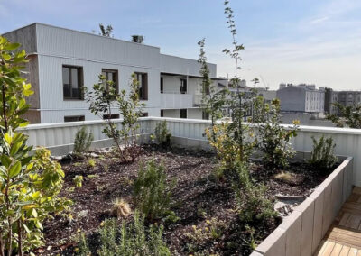 AEQUO CONSTRUCTION - 44 logements dont 22 en BRS & parkings en sous-sol • Saint-Denis