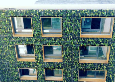 AEQUO CONSTRUCTION - Restructuration de l’immeuble du 69 quai d’orsay • PARIS 7e